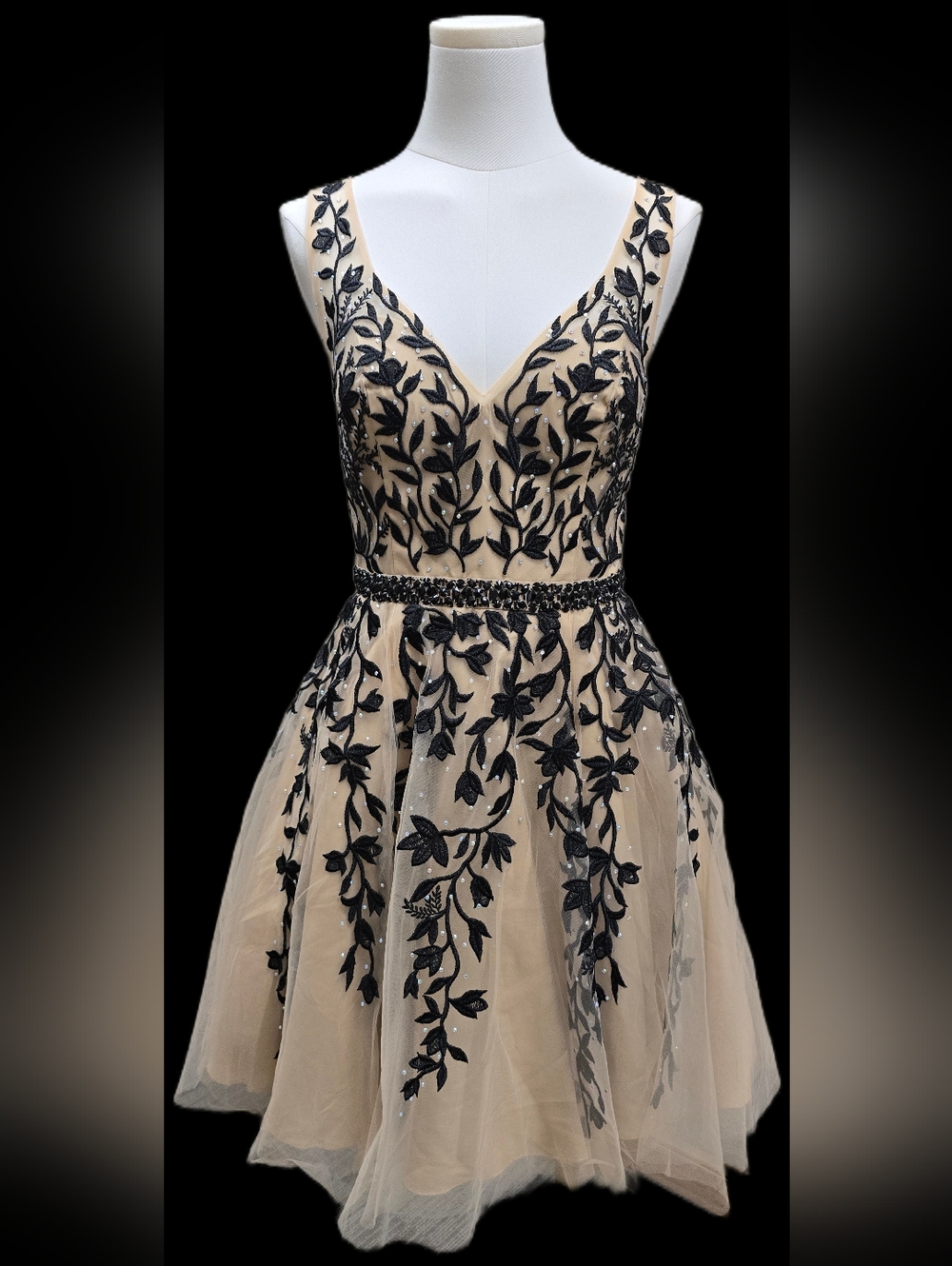 Fashion Nova Black & Nude V-Neck Embroidered Tulle Prom Dress